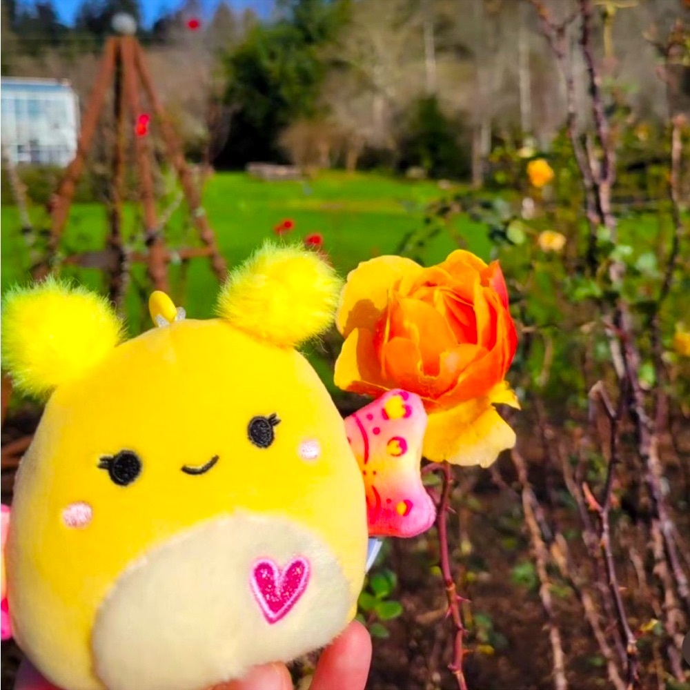 3.5”Miry the yellow Moth Squishmallow Clip NWT